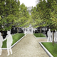 Illustration for article titled Madrid Bans Cars, Plans Plants